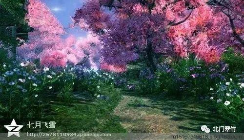 蜡笔小新大逃杀2