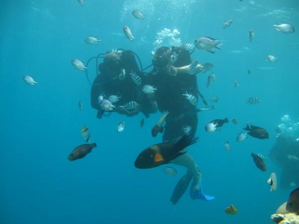 人鱼公主温泉疗养