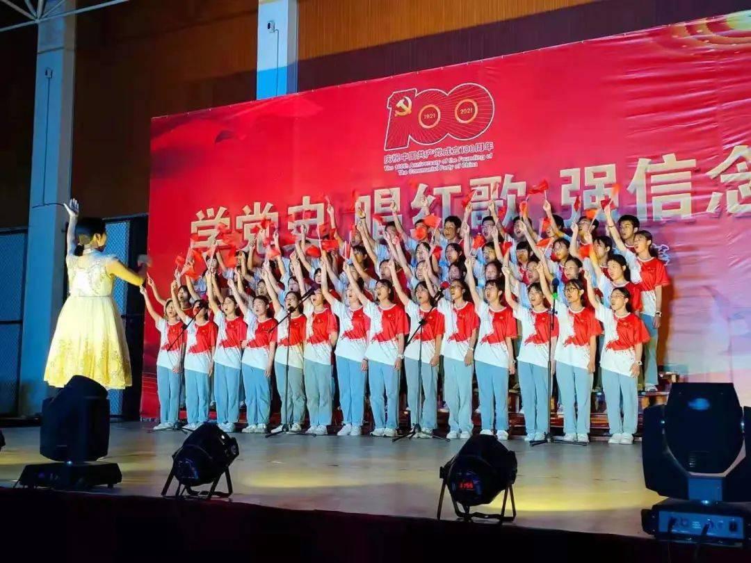 可爱小猫向上跳