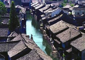 卑鄙的小妖精