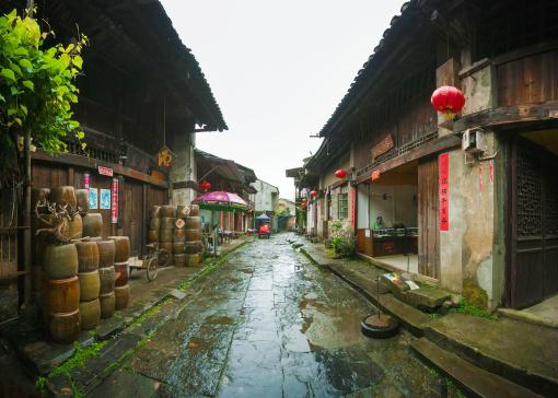 寻找火鸡